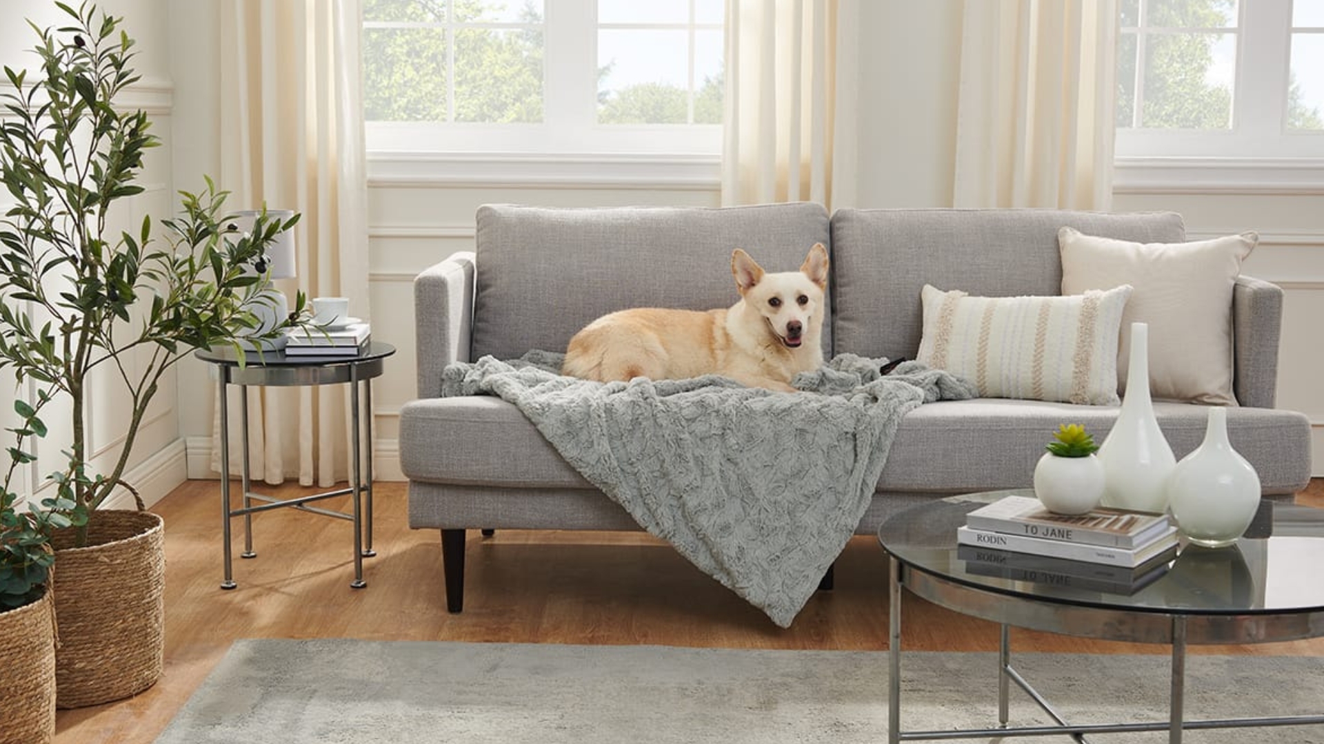 Обзавеждане на дом с домашен любимец: Какво да предвидиш?